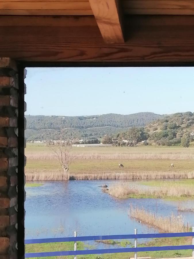 Vila Casa Los Ibis Vejer de la Frontera Exteriér fotografie